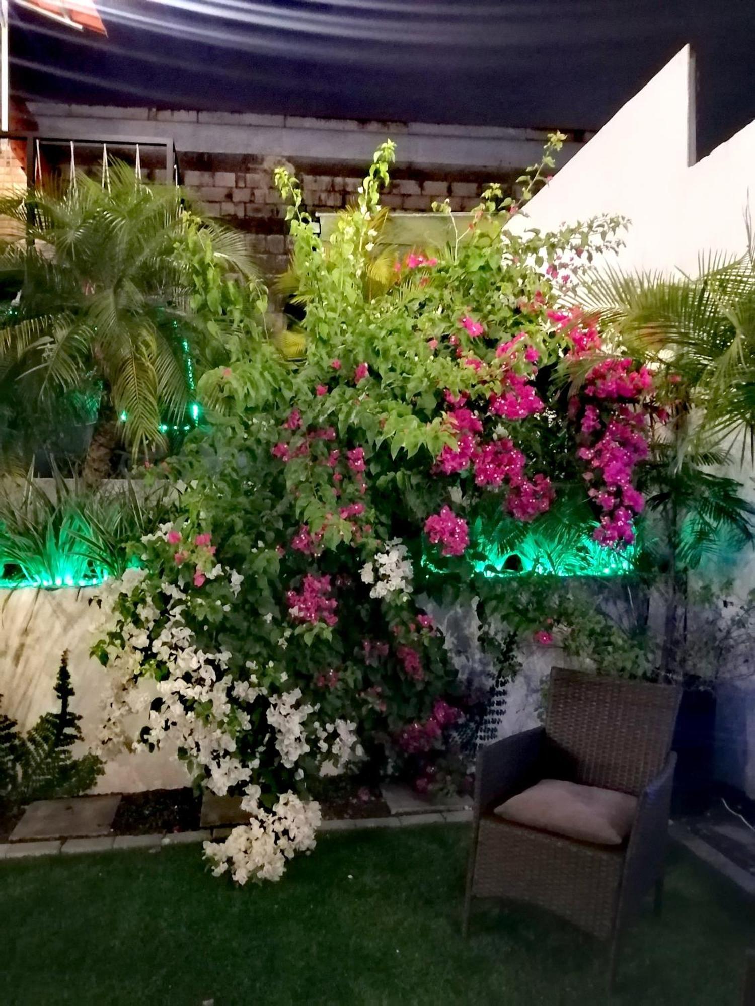 Airport Traveler'S Home. Alajuela Extérieur photo