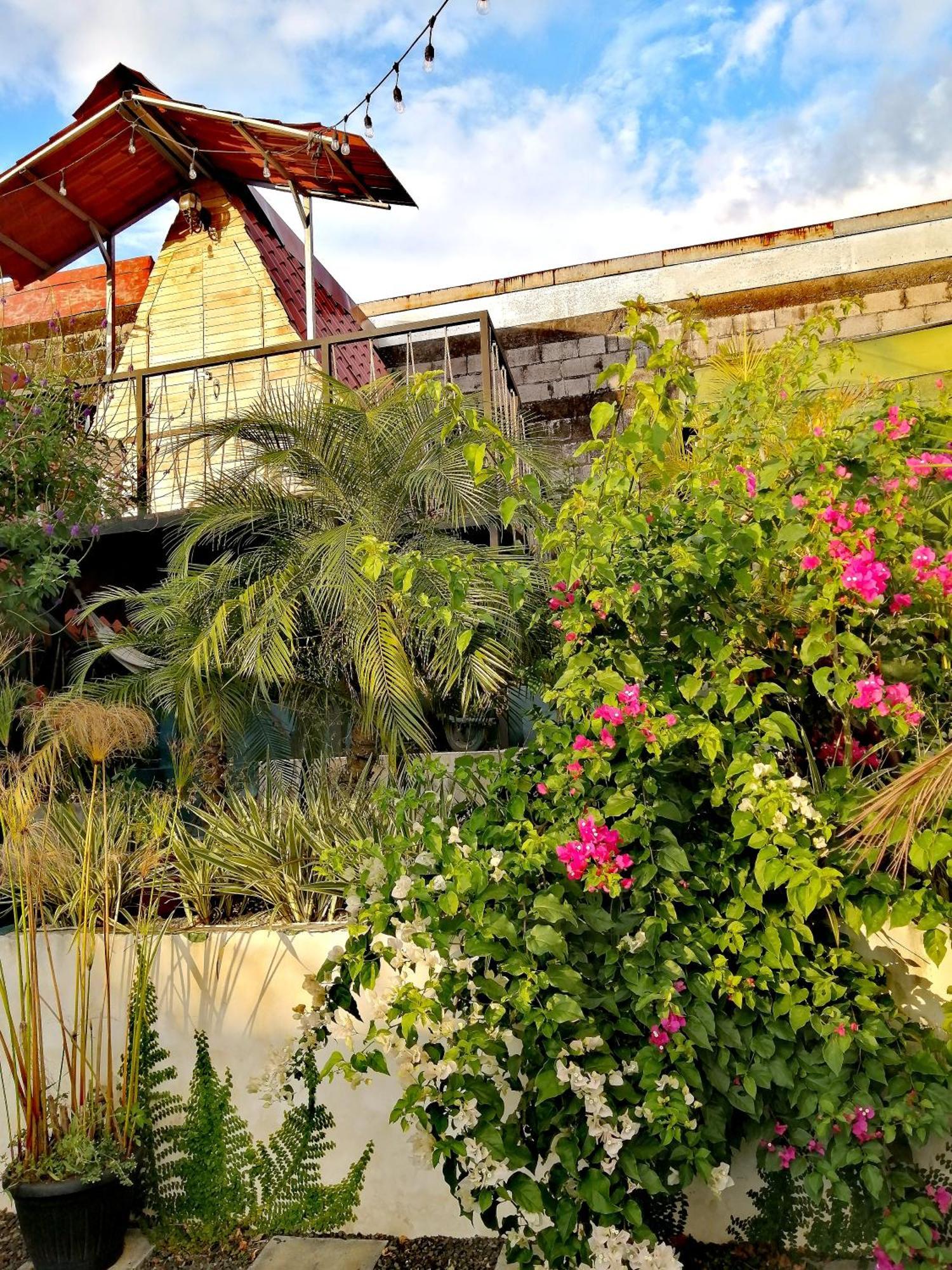 Airport Traveler'S Home. Alajuela Extérieur photo